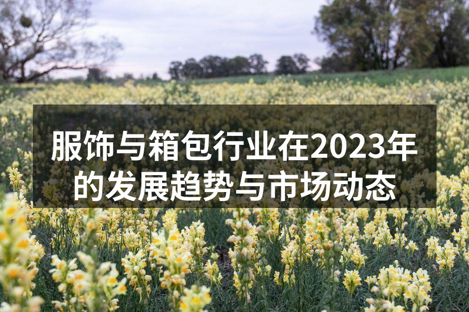 可持续时尚产品